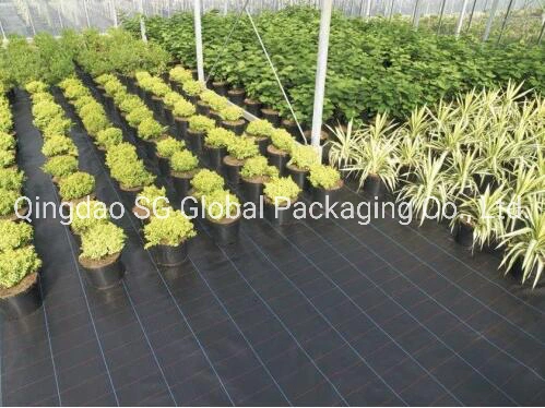 Woven Fabric Geotextile Weed Control Ground Cover Silt Fence Non Woven Fabric Stabilization PP Woven Geotextile for Soil Reinforcement Grass Prevention