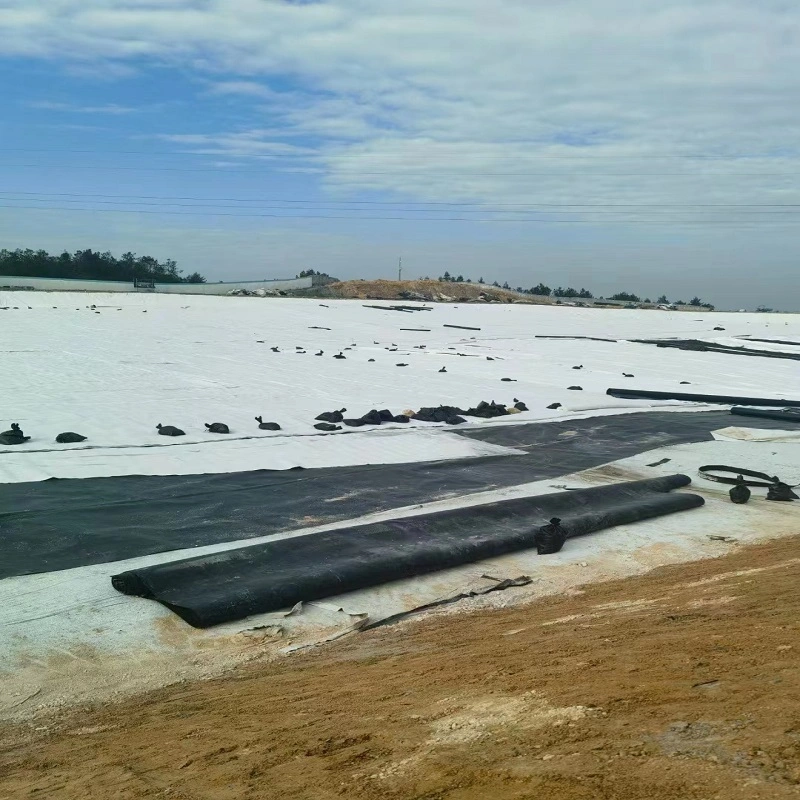 Impermeable HDPE Smooth/Textured 0.3/0.5/1.0/1.5/2.0mm Geomembrane for Reservoir/ Pond Waterproof Liner