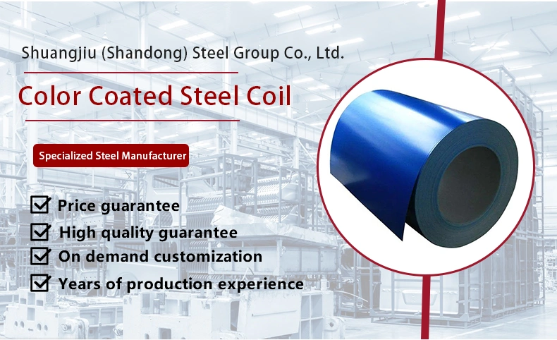 China Manufacturer Metal Prepainted Dx51d SGCC Galvanized Coil Custom Sizes PPGI PPGL Steel Coil for Building Material