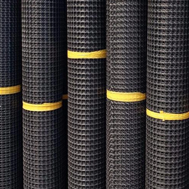 Road Construction Material Plastic Geogrid Soil Reinforcement for Wall