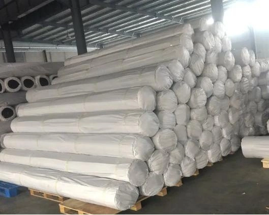 30-200kn/M Retaining Wall Systems for Sale High Strength Pet Polyester Geogrid