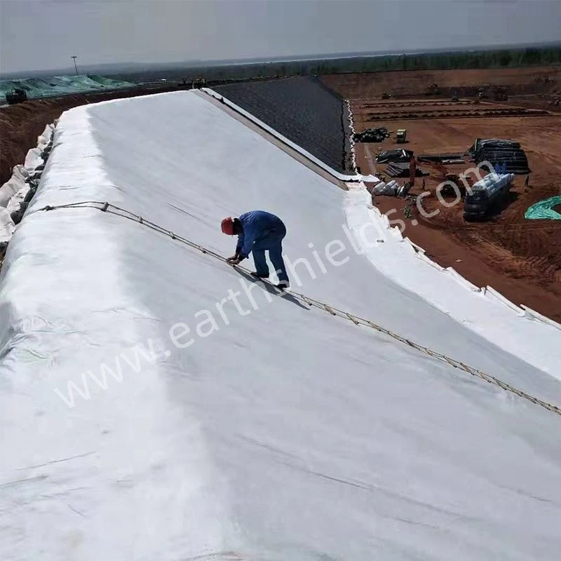 Non-Woven Geotextile for Floor of Greenhouse, Landscaping, Agricultural