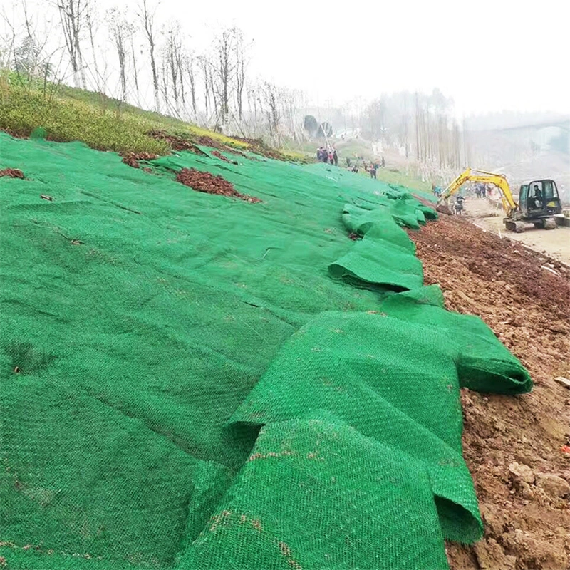 Grass Planting Plant Composite Protecting Layer Geocomposite Geotextile 3D Geomat for Drainage