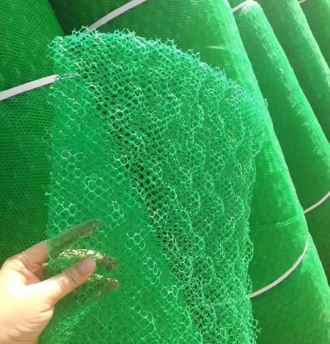 Grass Planting Plant Composite Protecting Layer Geocomposite Geotextile 3D Geomat for Drainage