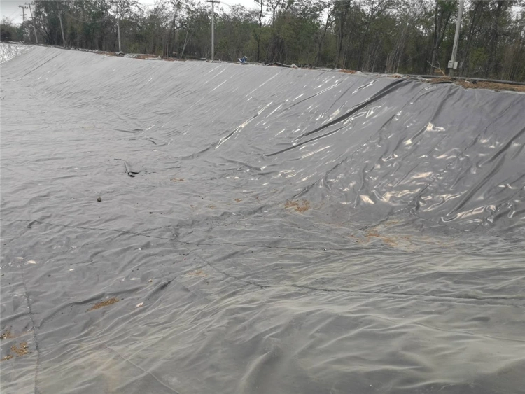 0.5mm Fish Farm Pond Liner 0.7mm Waterproof Geomembrane HDPE Liner Manufacturer 1mm HDPE Geomembrane for Pond