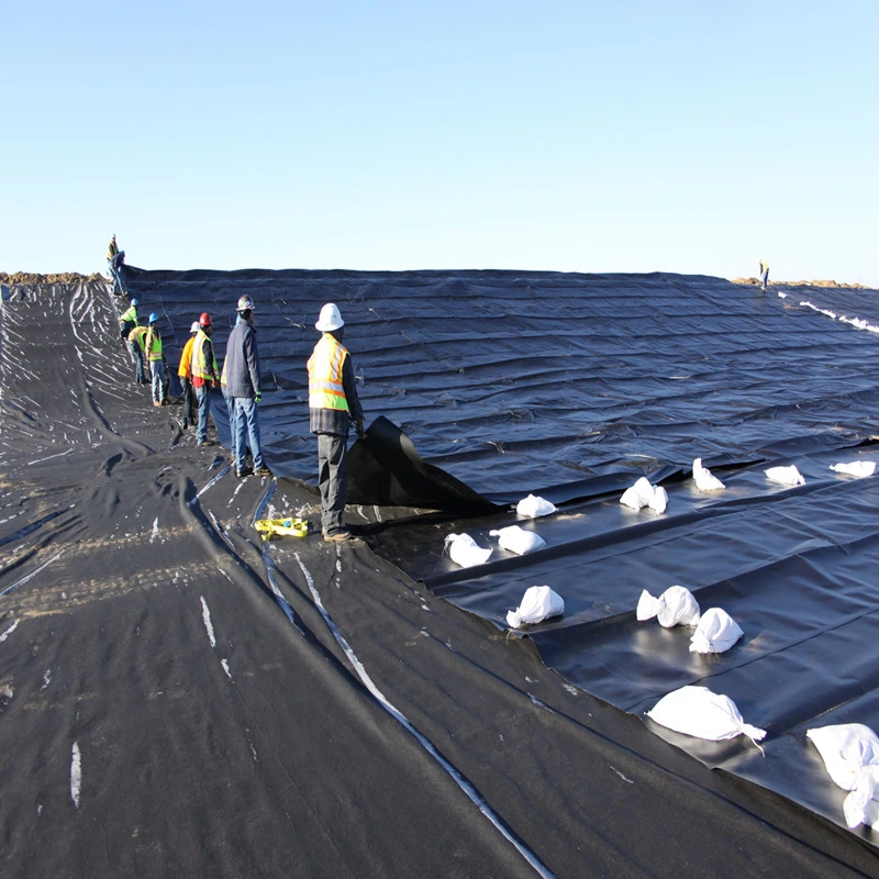 High Density HDPE Waterproofing Membrane Geotech Membrane for Biogas Plant Project in Peru