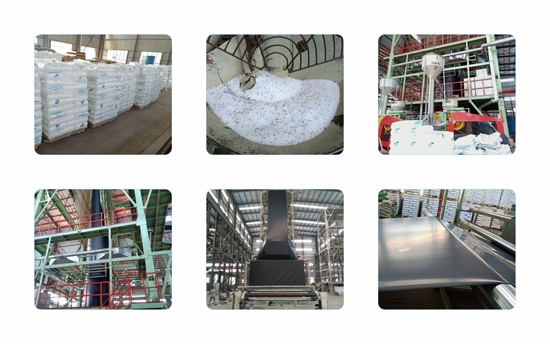 60 Mil ASTM Virgin Material Reinforced HDPE Geomembrane Direct Factory China