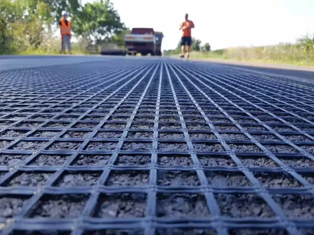 Warp Knitted Polyester Geogrid Used for Railway Foundation