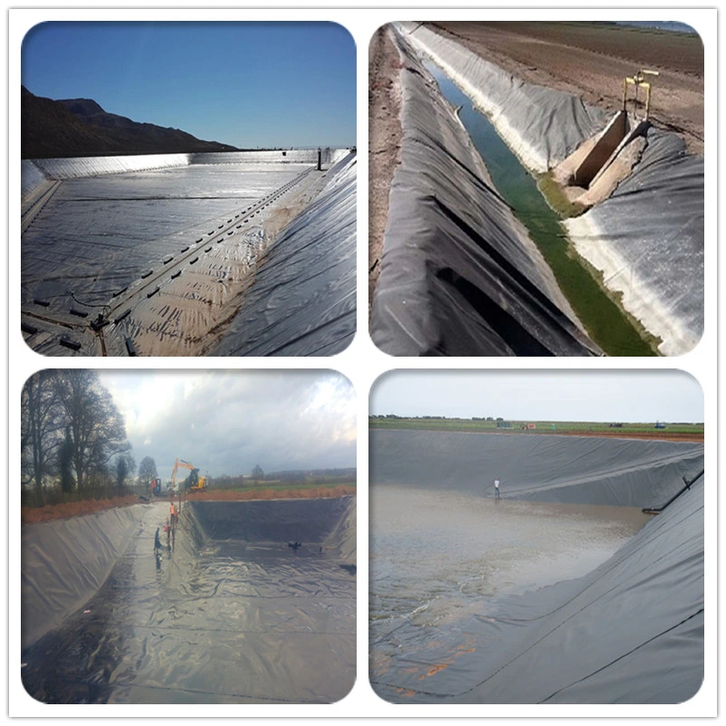 Water Retention and Pest Invasion HDPE Geomembrane