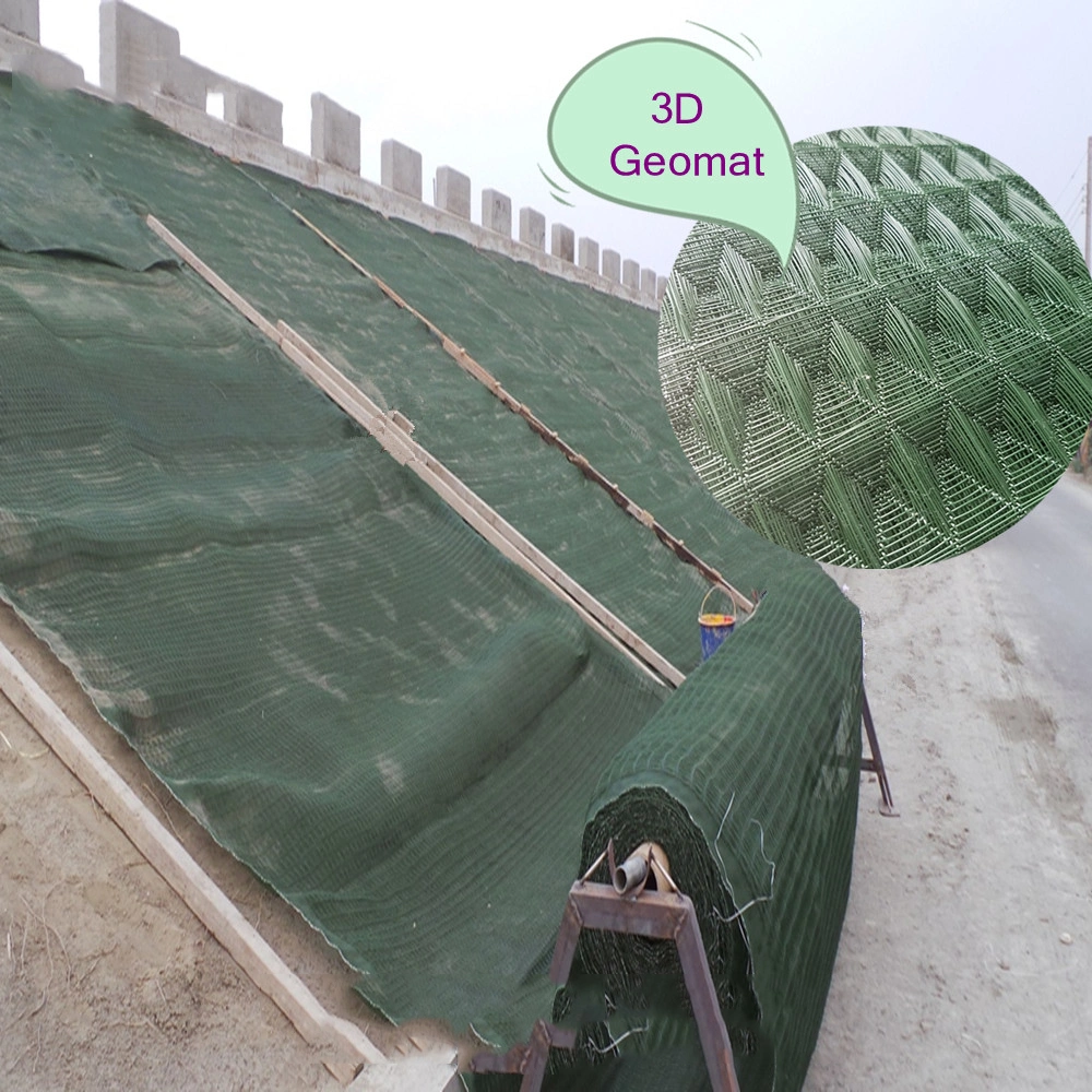 Erosion Control Mat HDPE 3D Geomat for Drainage