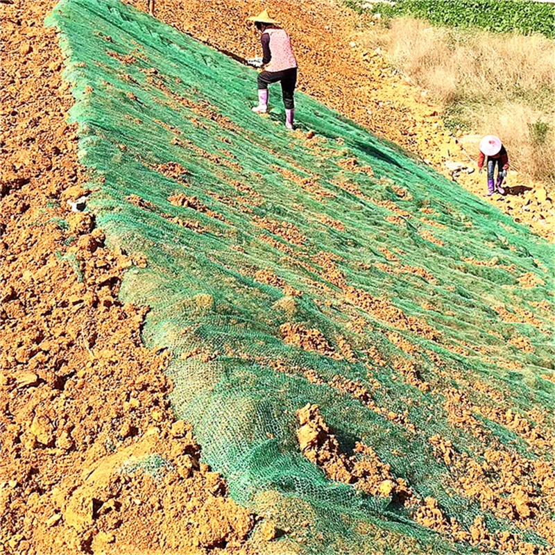Grass Planting Plant Composite Protecting Layer Geocomposite Geotextile 3D Geomat for Drainage