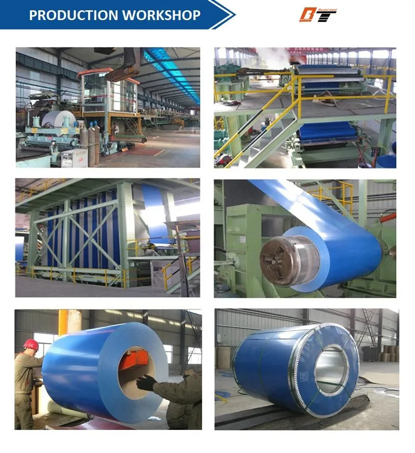 Galvalume Hot Dipped Galvanized Gi PE Prepainted Ral Color Coated Galvanised Steel Coil