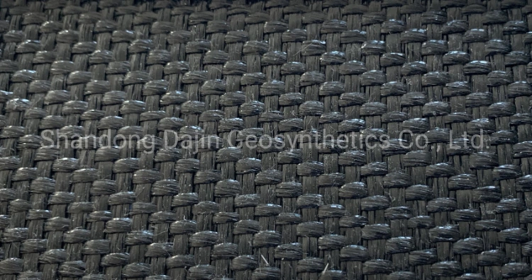 Black Polypropylene PP Woven Geotextile Fabric for Mine Landfill Coast Geotube Soil Slope