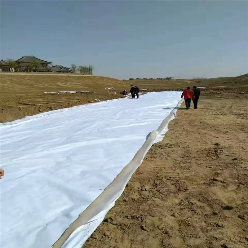 Durable PP/Pet Polyester Woven Stabilization Geotextile Fabric for Load-Bearing Soil Reinforcement Grass Prevention