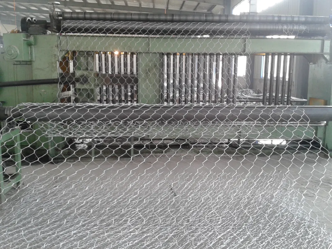 Gabion Box/Hexagonal Wire Mesh Low Price