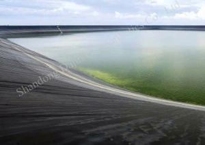 Aquaculture Fish Farm Biofloc HDPE Plastic Film Roll Dam Lining Geomembrane