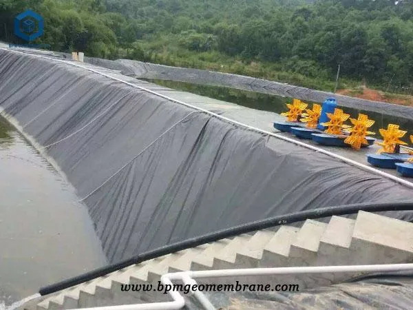 Harga Geomembrane HDPE Pond Liner for Shrimp Pond Project in Malaysia