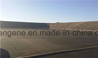 60 Mil HDPE Geomembrane / 60 Mil HDPE Liner Experienced Manufacture