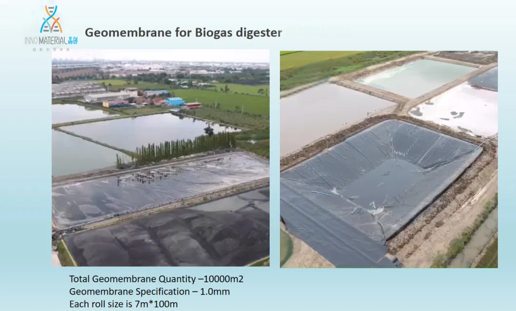 0.5mm, 1.0mm, 2.0mm, 3.0mm Impermeable Water-Proof Plastic LDPE/LLDPE/PVC/HDPE Geomembrane for Agriculture