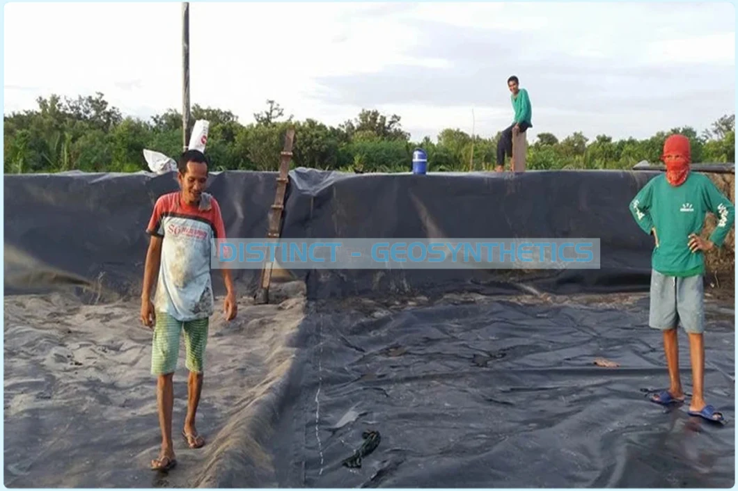 Geocomposite /HDPE Geomembrane Pond Liner/Geogrid Road Construction Material