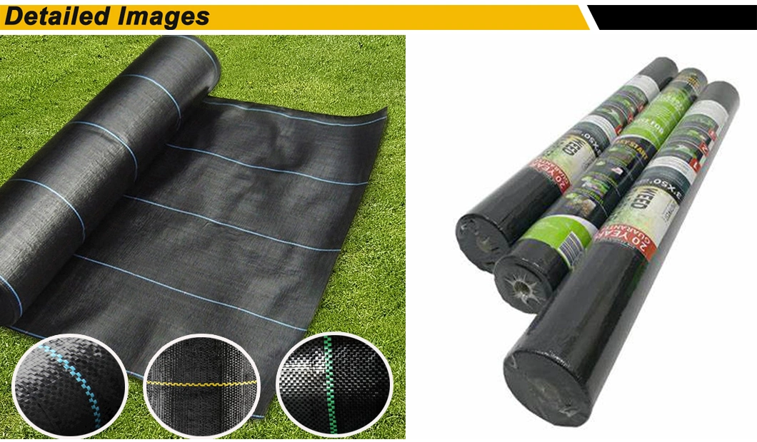 100GSM Woven PP/PE UV Treated Weed Control Ground Cover Membrane for Garden Nurseries