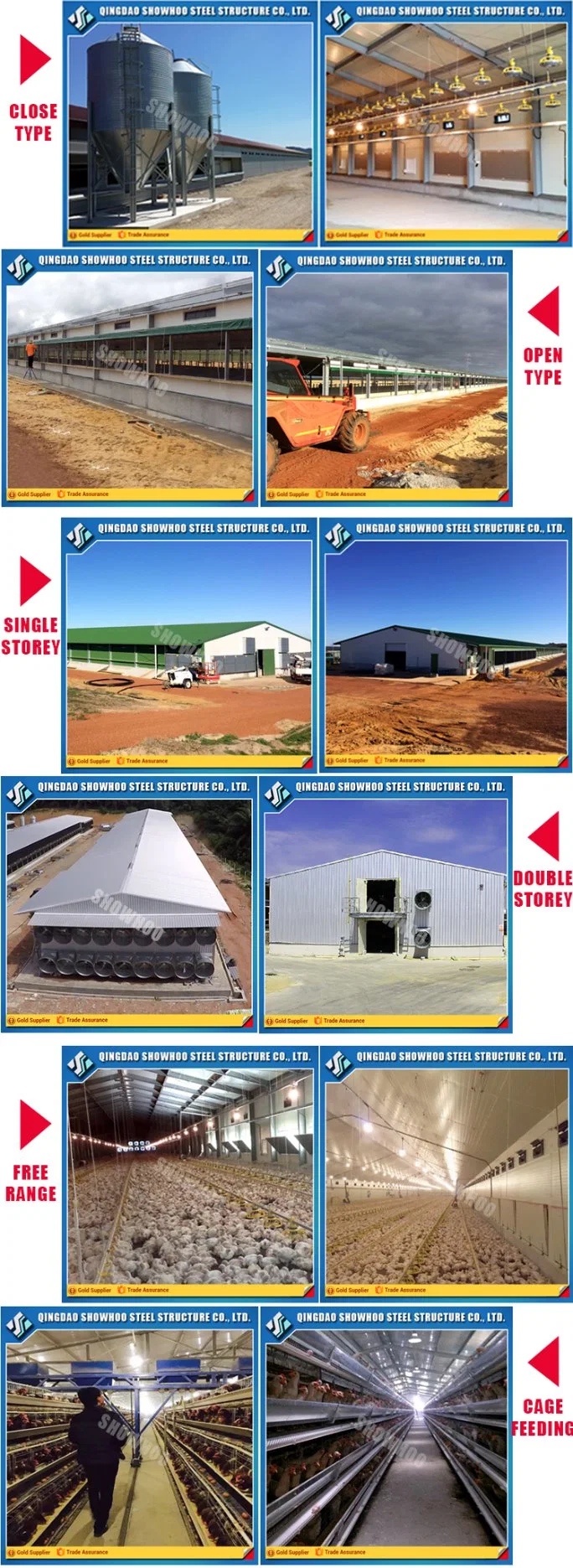 Low Cost Closed Steel Structure Poultry Shed Farm Plant