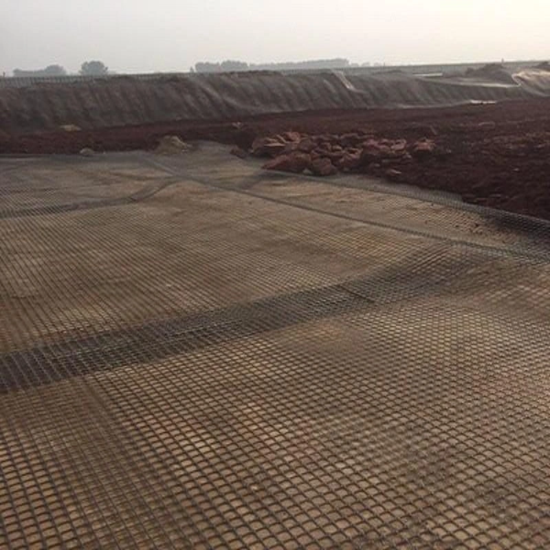 Steel Plastic Geogrids for Construction and Slope Protection New Materials
