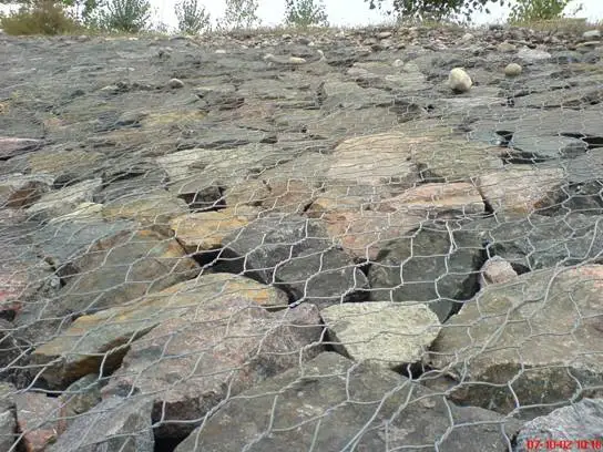 Gabion Box/Hexagonal Wire Mesh Low Price