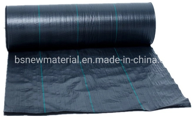 100g PP Woven Geotextile Used for Weed Control Mat/Weed Mat Barrier, Good Price