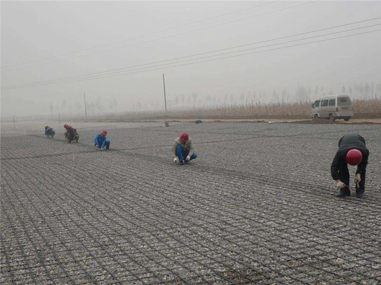 Driveway Construction Material Polyester Geogrid Fabric for Retaining Walls