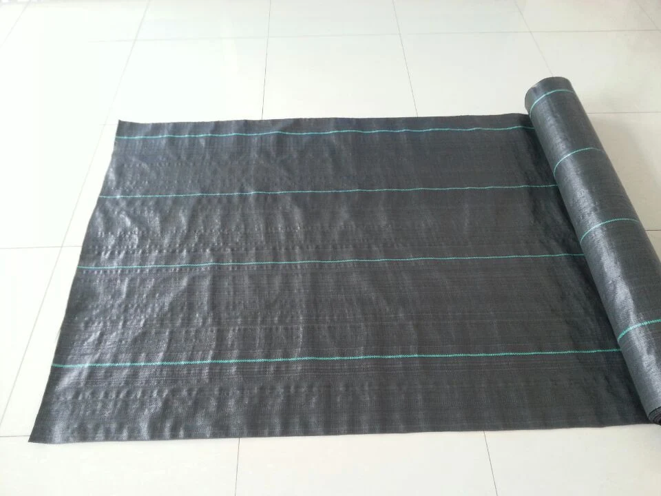 Build Matetial PP Woven Geotextile Best Price for Wick Drain Factory Price