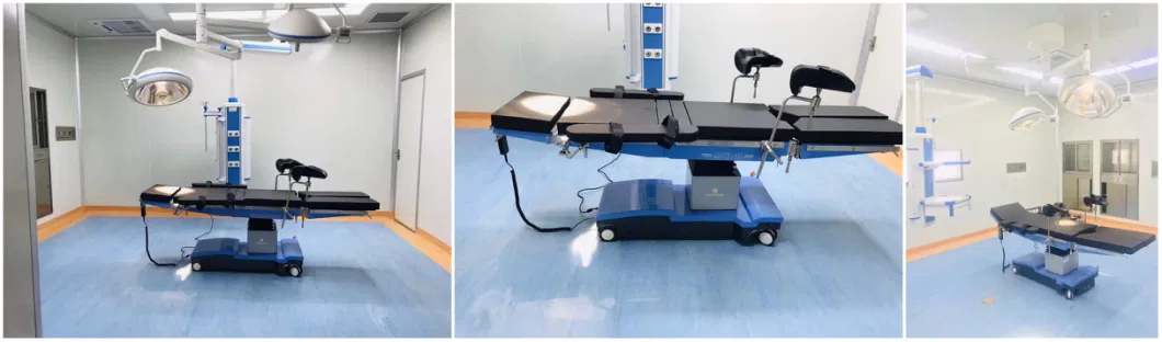 Factory Price Best Price Hospital Furniture Equipment Bed Table Dst-III Electric Operating Table Surgical Table Veterinary Surgery Operation Table