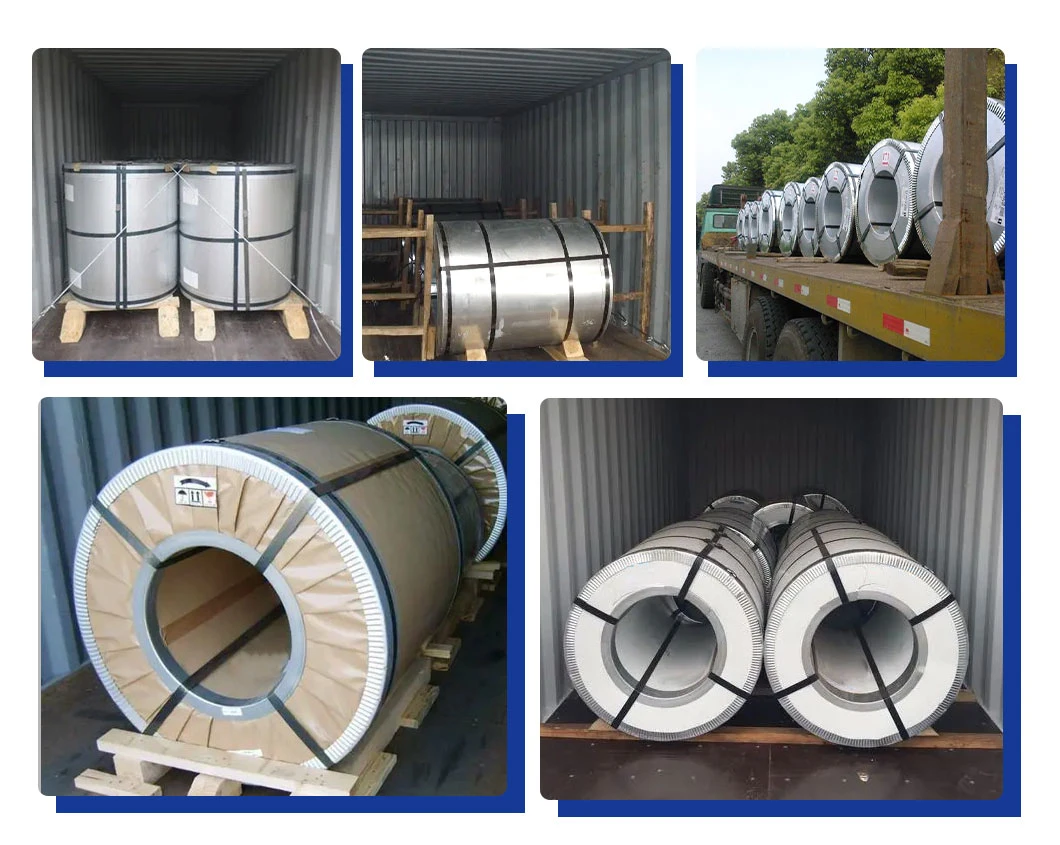Chinese Wholesale Price Prepainted Galvanized Steel Coil PPGI PPGL SPCC Dx51 Zinc Cold Rolled/Hot Dipped Galvanized Steel Coil