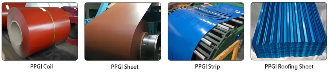 Prepainted Galvanized Color Coated Steel Coil/Sheet/Plate/Strip China Manufacturer Ral Steel 0.12-6.0mm PPGI &amp; PPGL Roll