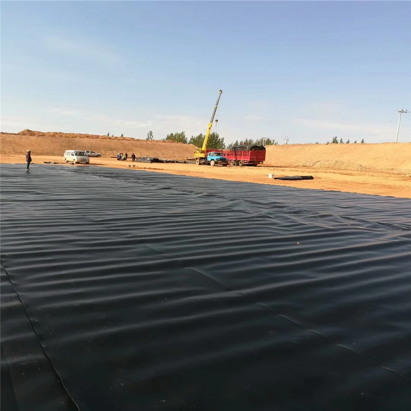 Wholesale Impermeable HDPE Geomembrane Bamboo Roots Plastic Barrier Root Barrier