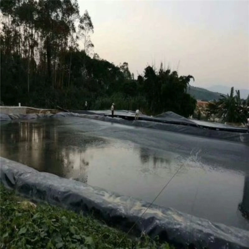Wholesale Impermeable HDPE Geomembrane Bamboo Roots Plastic Barrier Root Barrier