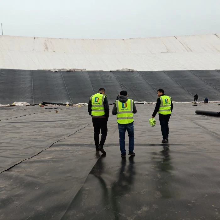 ASTM Standard HDPE Geomembrane with Two Side Geotextile