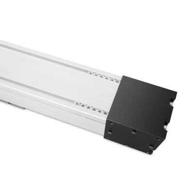 Mechanical Power Transmission Dustproof Belt Driven Linear Rail Guide