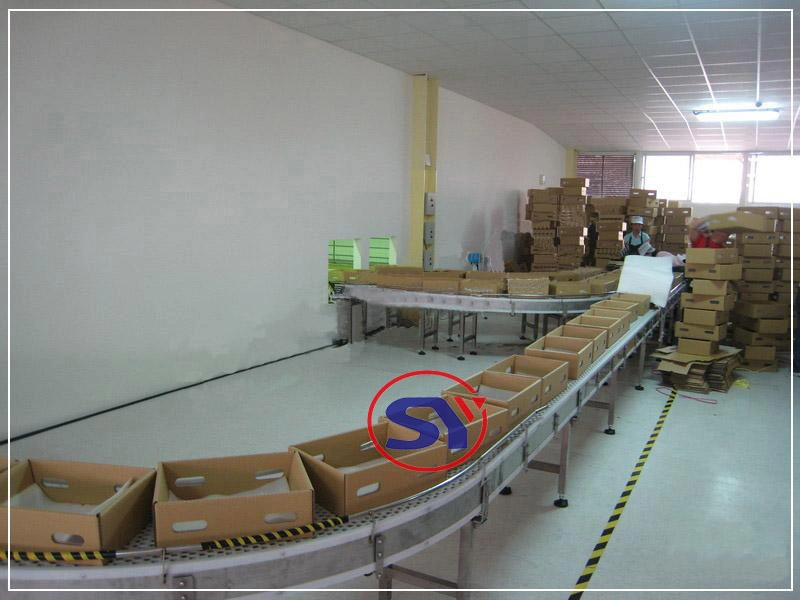 800mm Width Automatic Transfer Roller Conveyor Line for Electrical Assembly