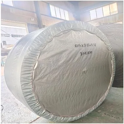 Hot Sale Endless Conveyor Belt for Mining Chemical Plants