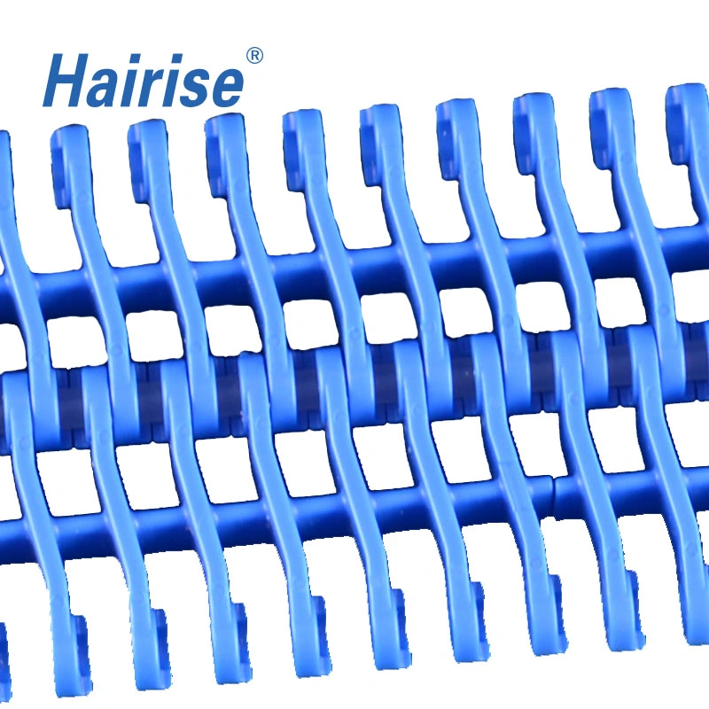 Hairise Hot Sale High Quality Modular Belt for Conveyor