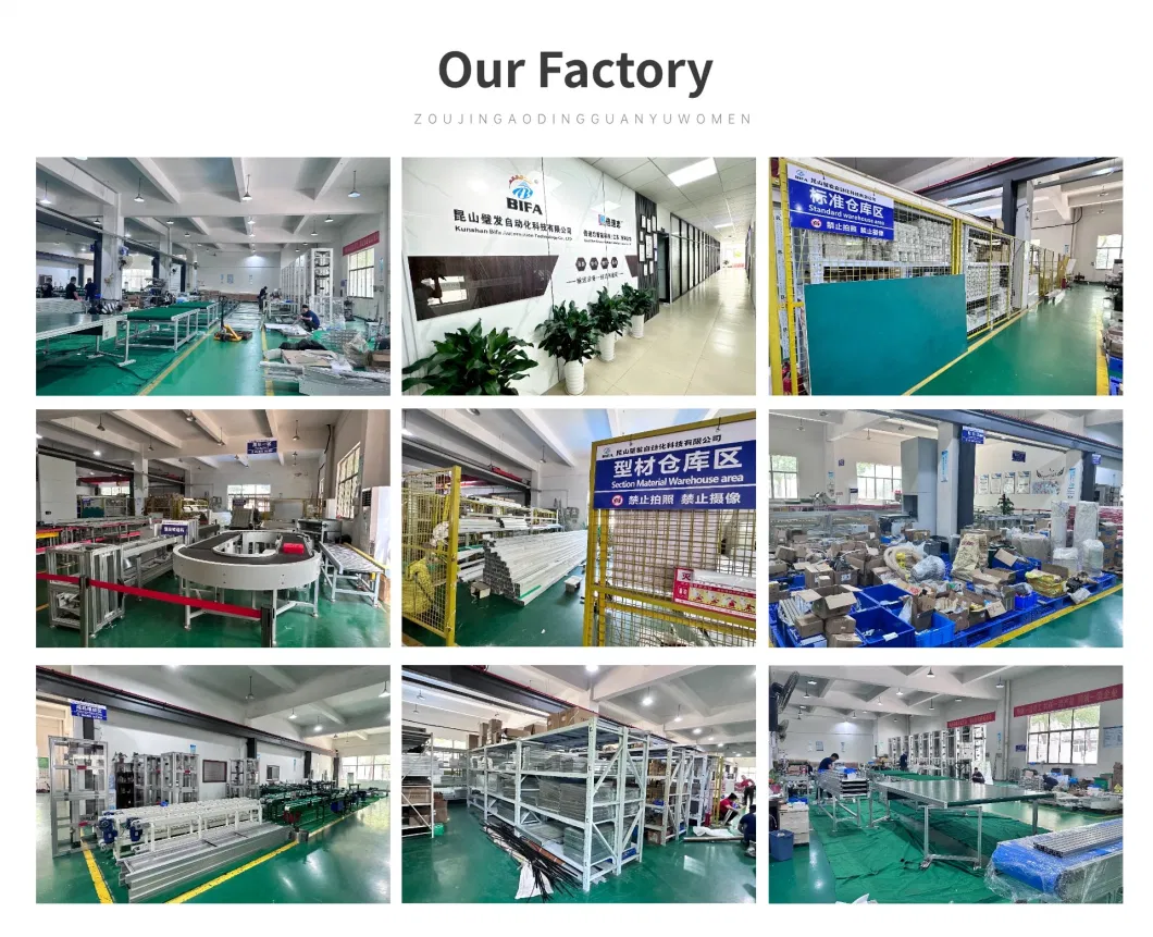 Bifa China Manufacturer Custom Conveyor System