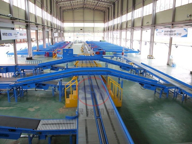 Automatic Food Grade Stainless Steel Fruit Conveying Sorting Packing Roller Conveyor