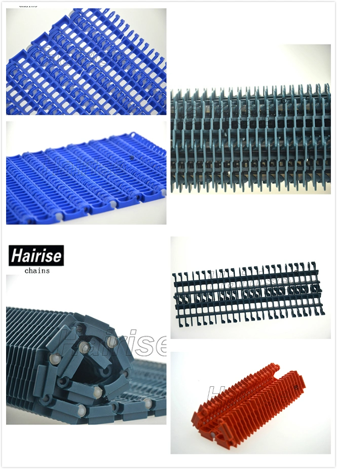 Hairise CE Plastic Modular Belt Used in Conveyor System Wtih FDA&amp; Gsg Certificate