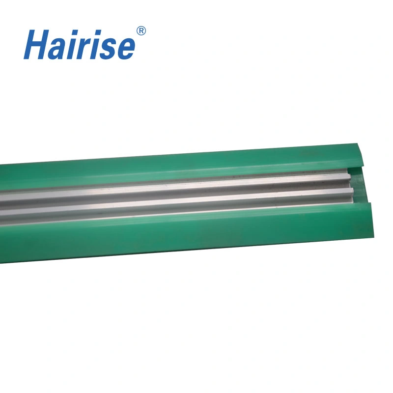 Conveyor System Parts Neck Guide Rail for Modular Belt (Har621)