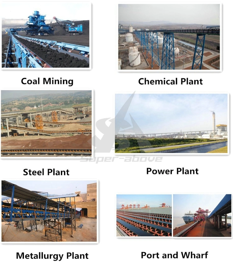 Hot Sale Fixed Belt Conveyor for Mining Project