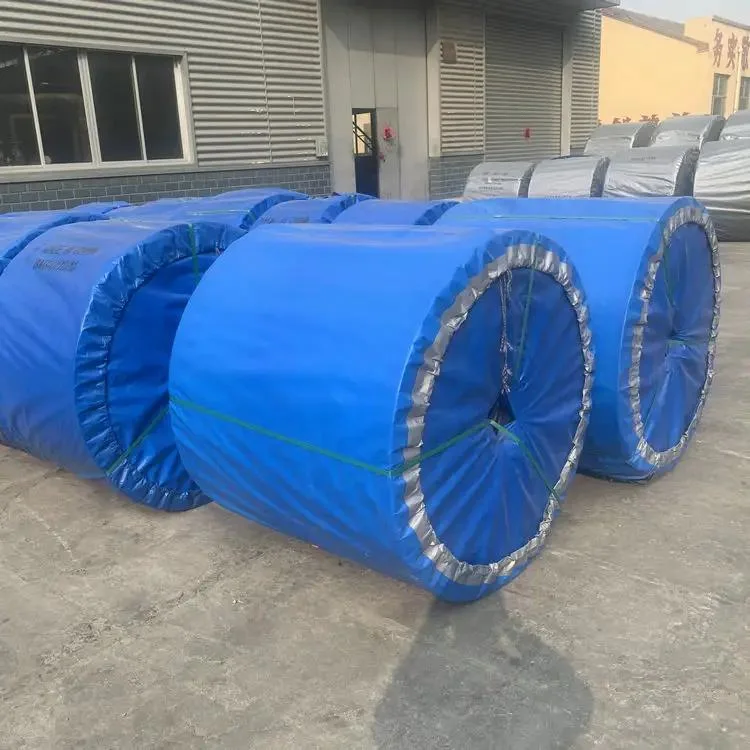 800mm Width Ep100 Nylon Conveyor Belt for Heavy Duty Applications