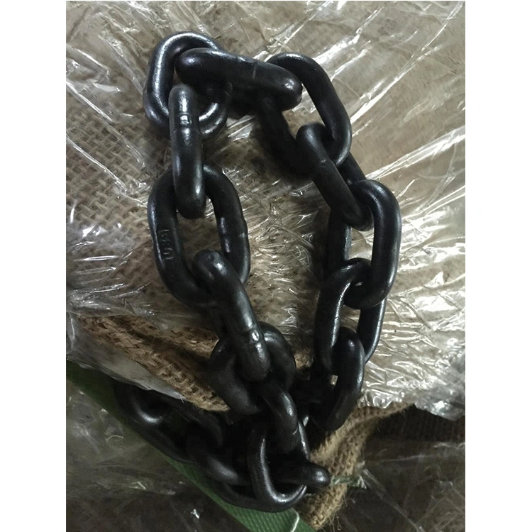 Double Pitch Chain Side Guide for Belt Lifting Chain