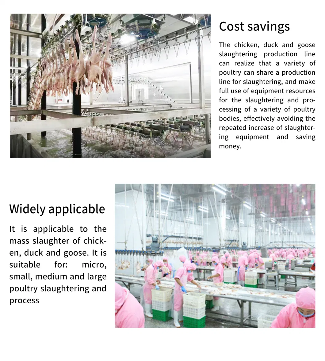 High Quality Automatic Poultry Chicken Meat Processing Line Machine Slaughtering