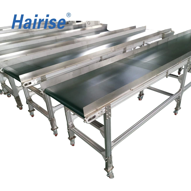 Hairise Oil Resistant Conveyor Belt for SS304 Frame Conveyor with FDA&amp; Gsg Certificate